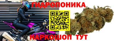 герыч Моздок