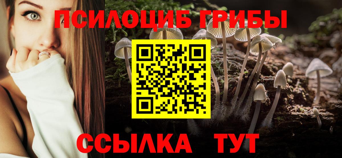 Псилоцибиновые грибы прущие грибы Чехов